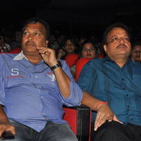 Dookudu Audio Launch Pictures | Picture 61995